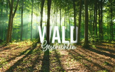 waldgeschichten-initiative-waldbesitzer-video-geschichten-wald-oesterreich