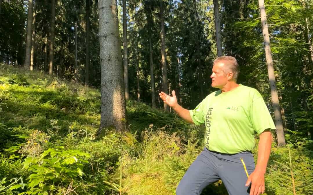 Gerhard und das Spiel mit dem Licht