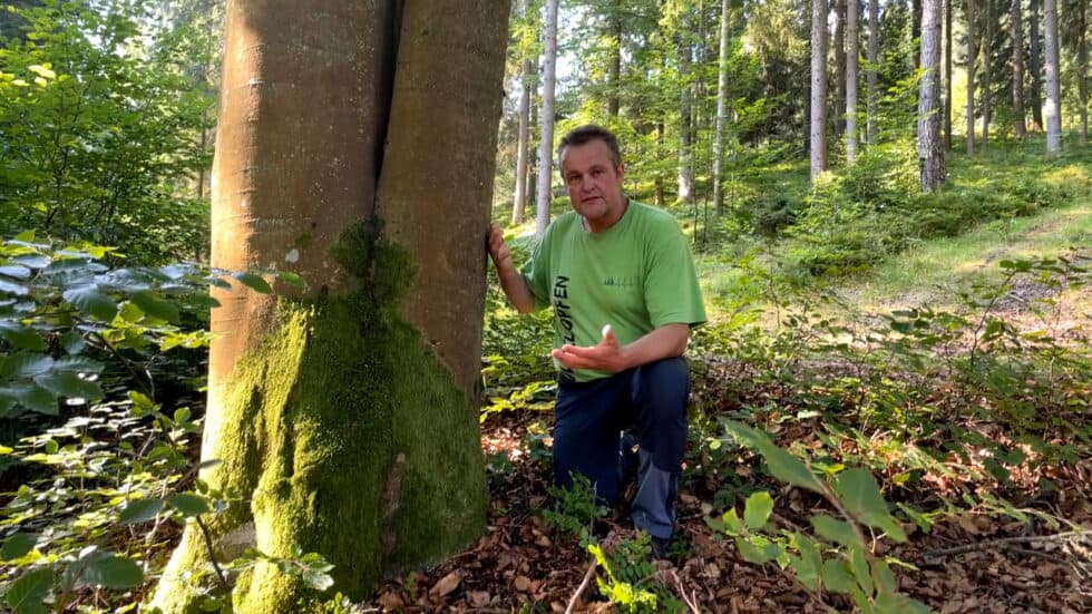 gerhard-erzaehlt-von-seinem-fruchtbaren-waldboden-waldgeschichten-video