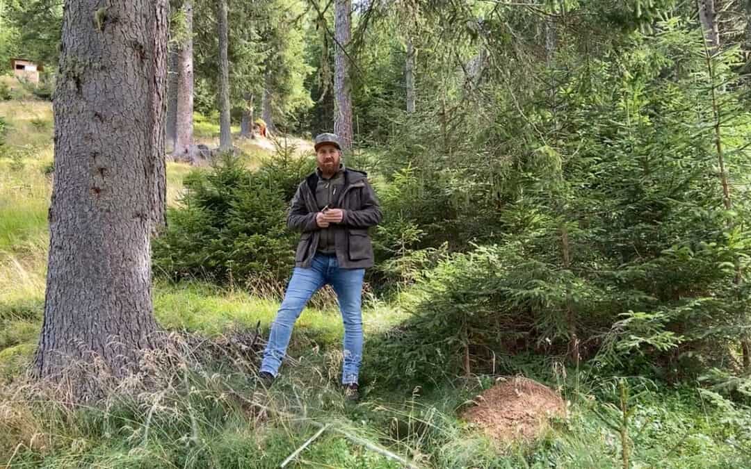 Hans unterstützt aktiv die Ameisen