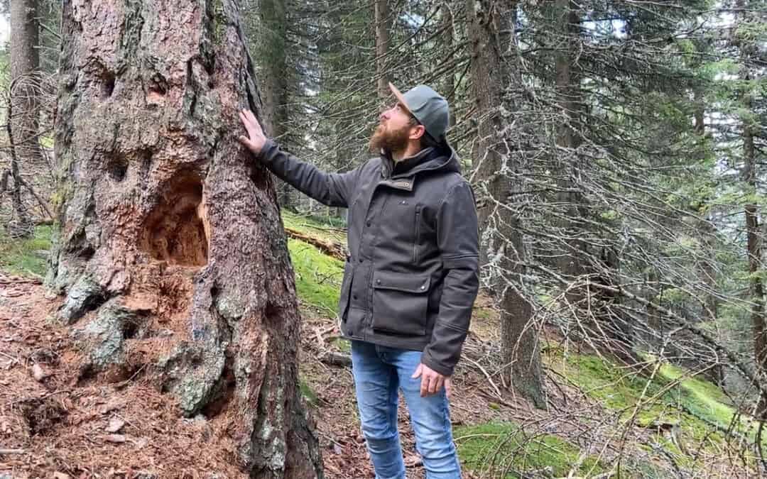 Hans zeigt uns einen seiner Biotopbäume