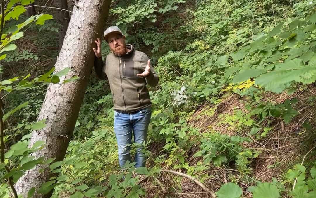 Auch auf 1.200 m Seehöhe ist Hans von der Klimakrise betroffen