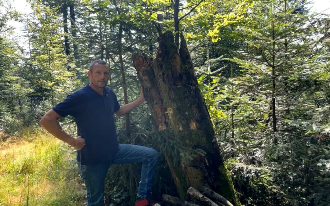 Josef Wimmer fördert Biodiversität durch Totholz