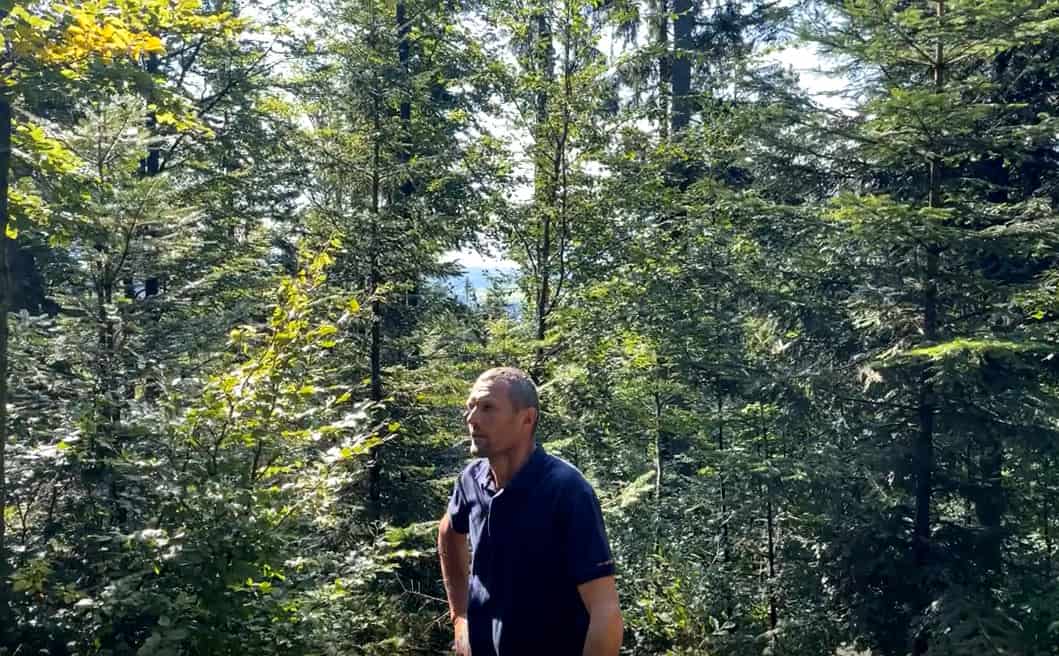 Josef Wimmer erzählt vom Plenterwald