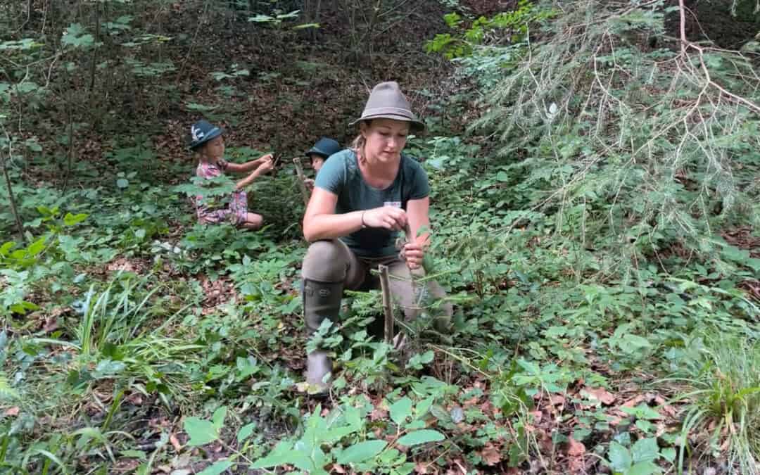 Liesi schützt die Tannen vor Verbiss