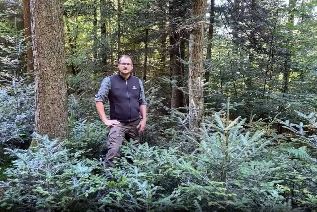 Matthias Hoeckner Waldbesitzer aus Gampern und seine naturnahe Waldbauform