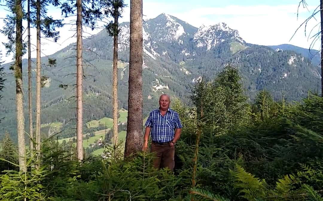 Sepp freut sich über die Tannen-Naturverjünung