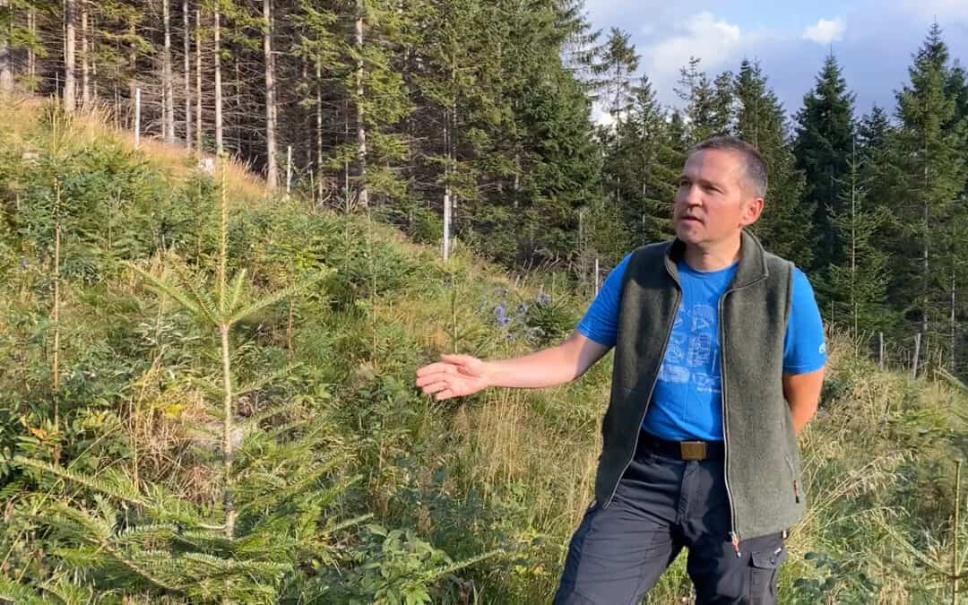 Die zentrale Aufgabe für Thomas ist es, für mehr Artenvielfalt zu sorgen