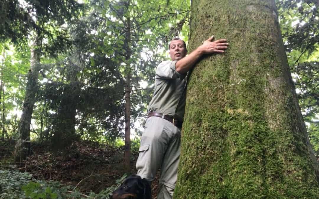 Wolf Dietrich erfreut sich an alten Bäumen in seinem Wald