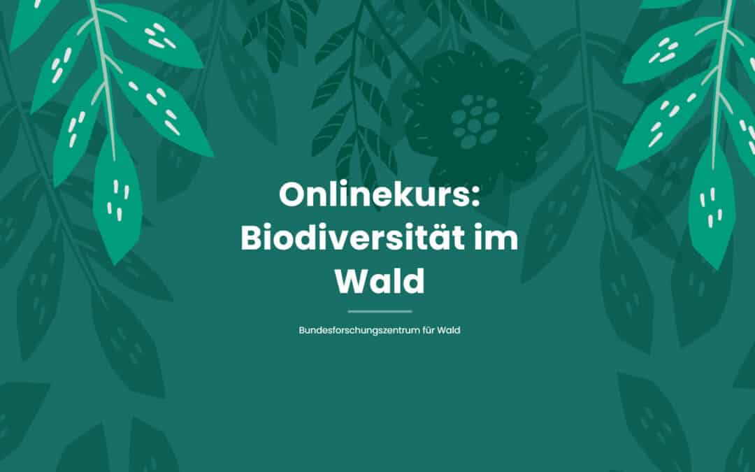 Onlinekurs: Biodiversität im Wald