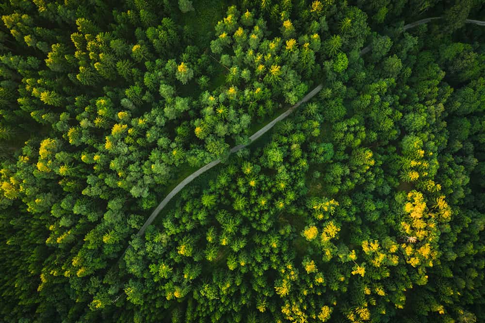 waldgeschichten-artikel-ausflugstipps-in-kaernten-foto-panorama-woerthersee