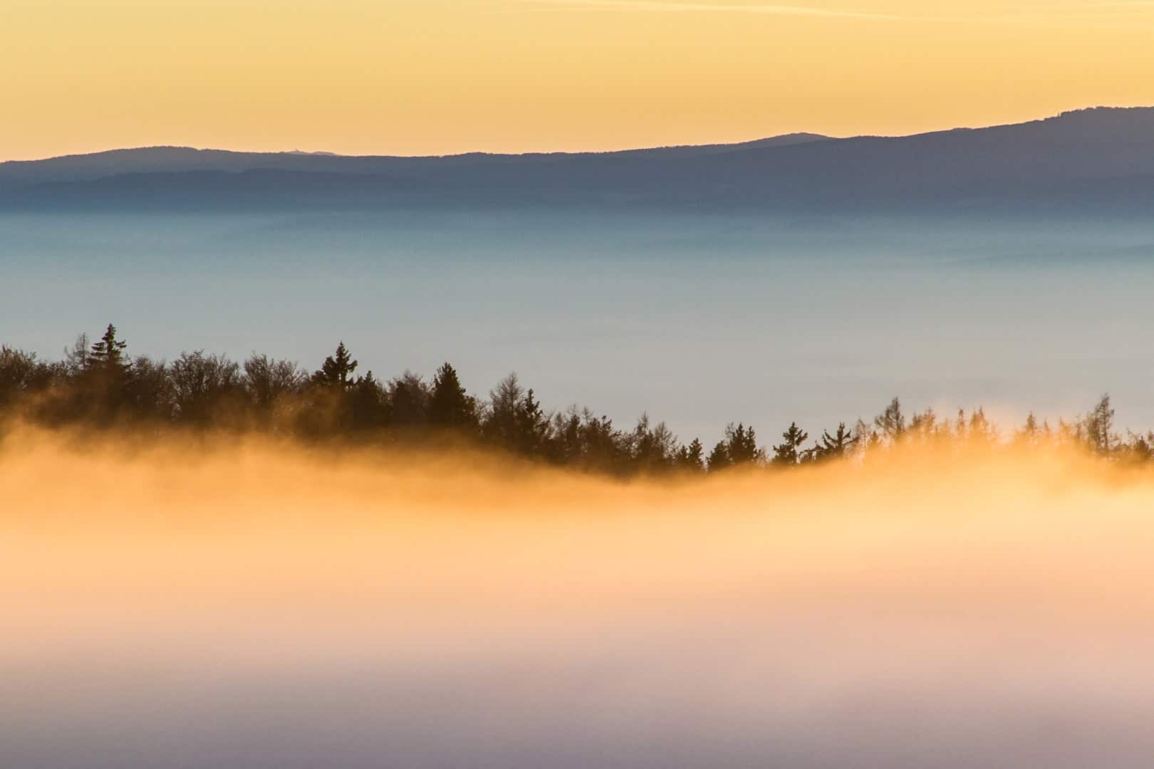 waldgeschichten-artikel-ausflugstipps-in-kaernten-foto-panorama-woerthersee