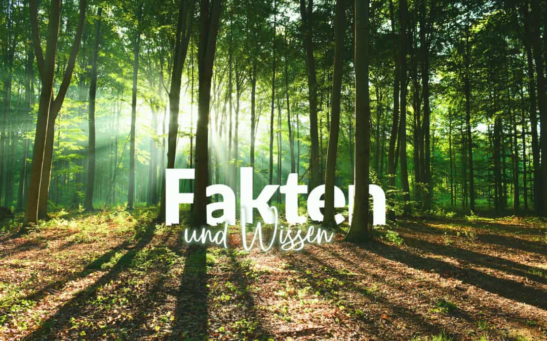 Fakten & Wissen