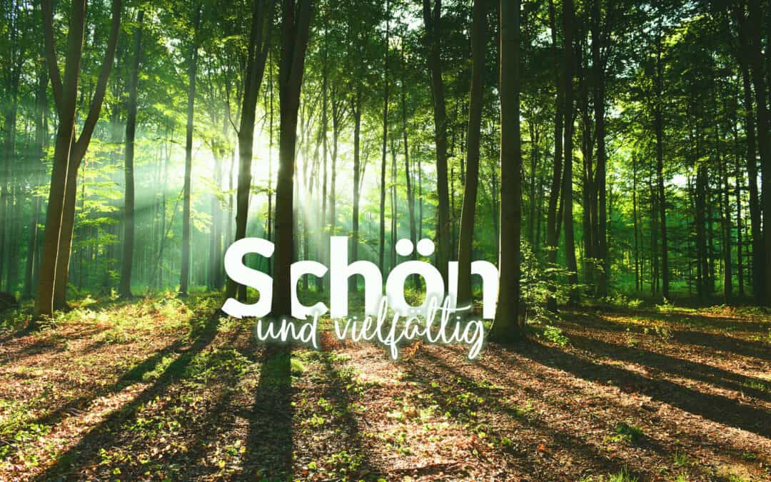 Schönheit & Vielfalt
