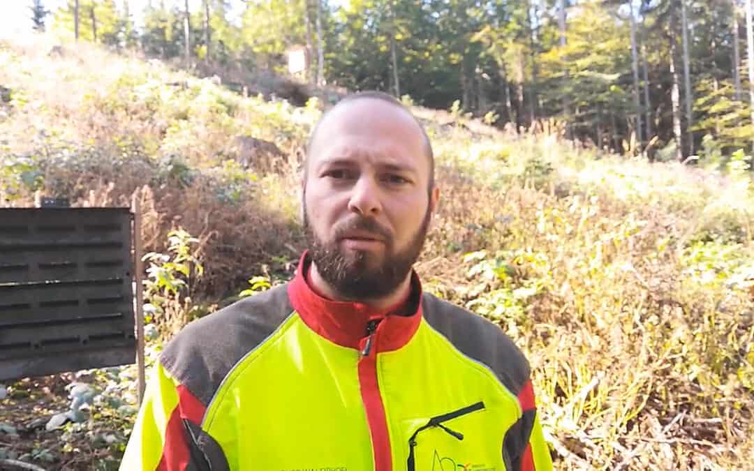 Thomas erklärt, wie es auf der Borkenkäferfläche weitergeht