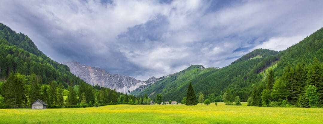 waldgeschichten-klimakrise-wald-berge-wiese