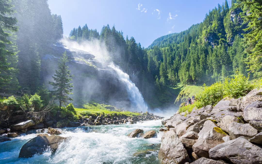 Österreichs Waldflächen unter Schutz