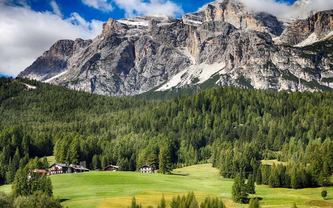 Nachhaltige Waldbewirtschaftung und Klimaschutz