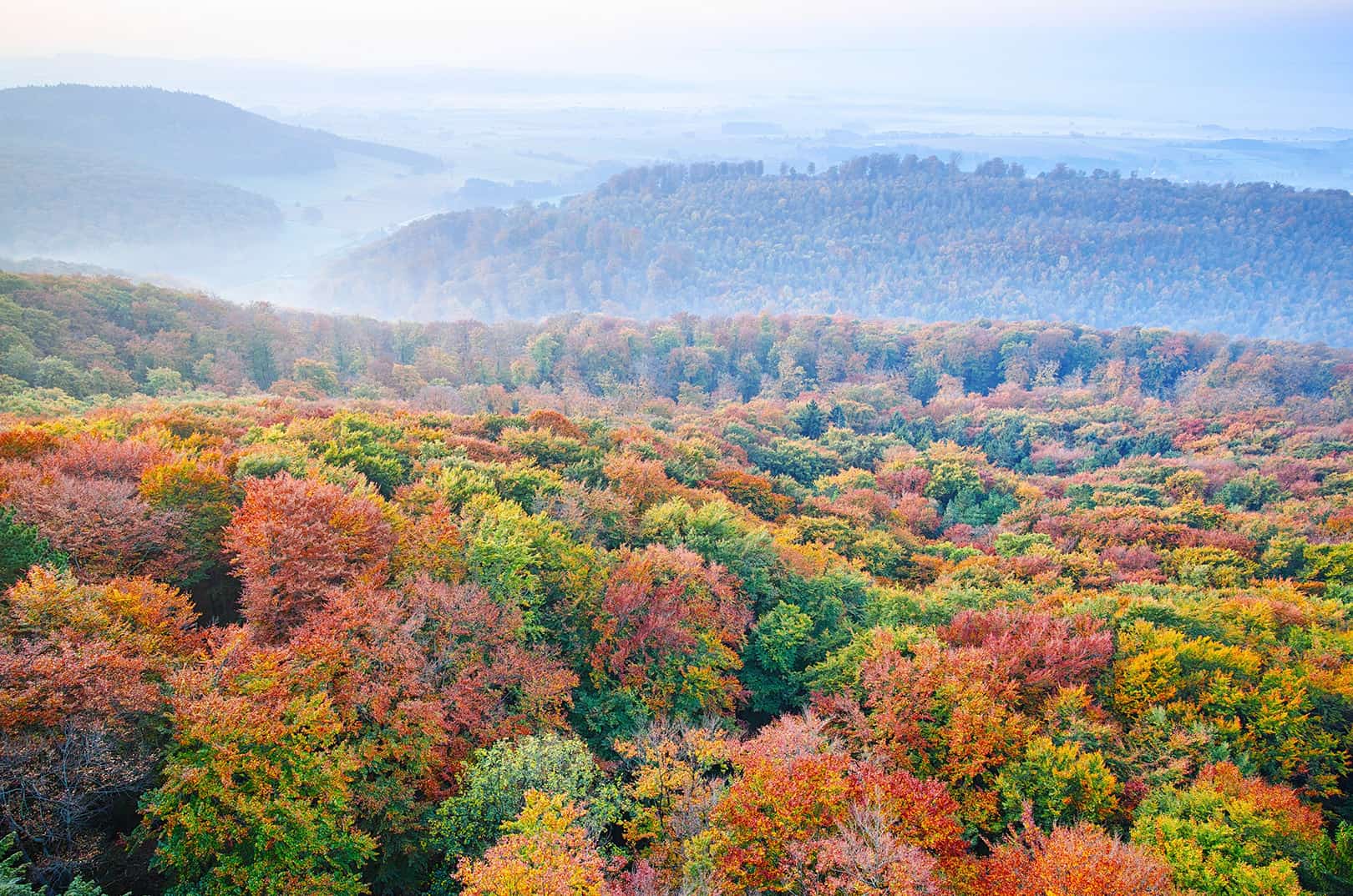 waldgeschichten-artikel-ausflugstipps-in-kaernten-foto-panorama-woerthersee