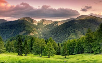 waldgeschichten-waldbesitzer-oesterreich-wald-berge-abendrot