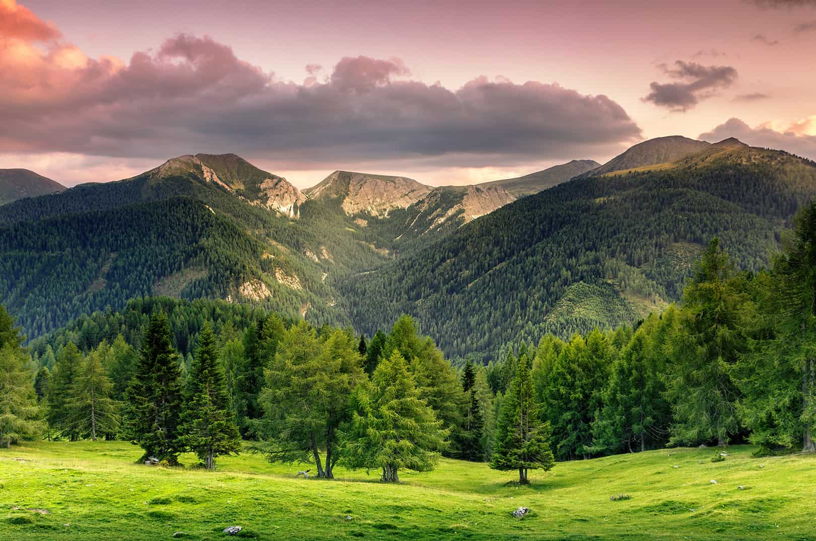 waldgeschichten-artikel-ausflugstipps-in-kaernten-foto-panorama-woerthersee