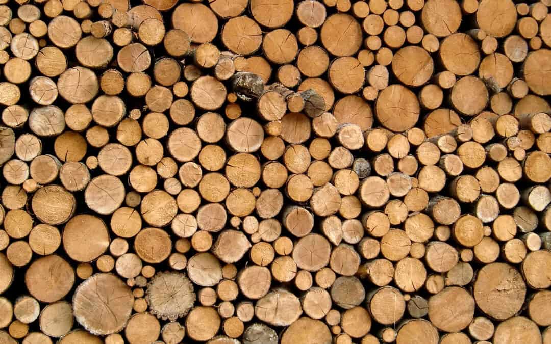 Holzverwendung als Beitrag zum Klimaschutz