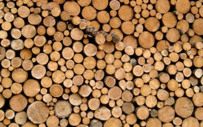 waldgeschichten-holzverwendung-werkstoff-holz-holzpolter