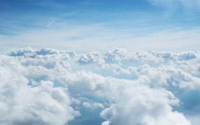 waldgeschichten-nachhaltige-wald-bewirtschaftung-himmel-wolken-sonnenschein