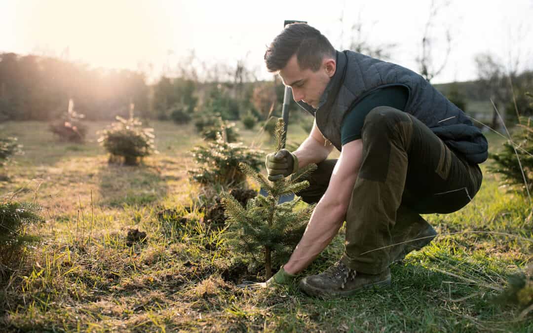 Wildökolandaktion: Jäger gestalten Artenvielfalt