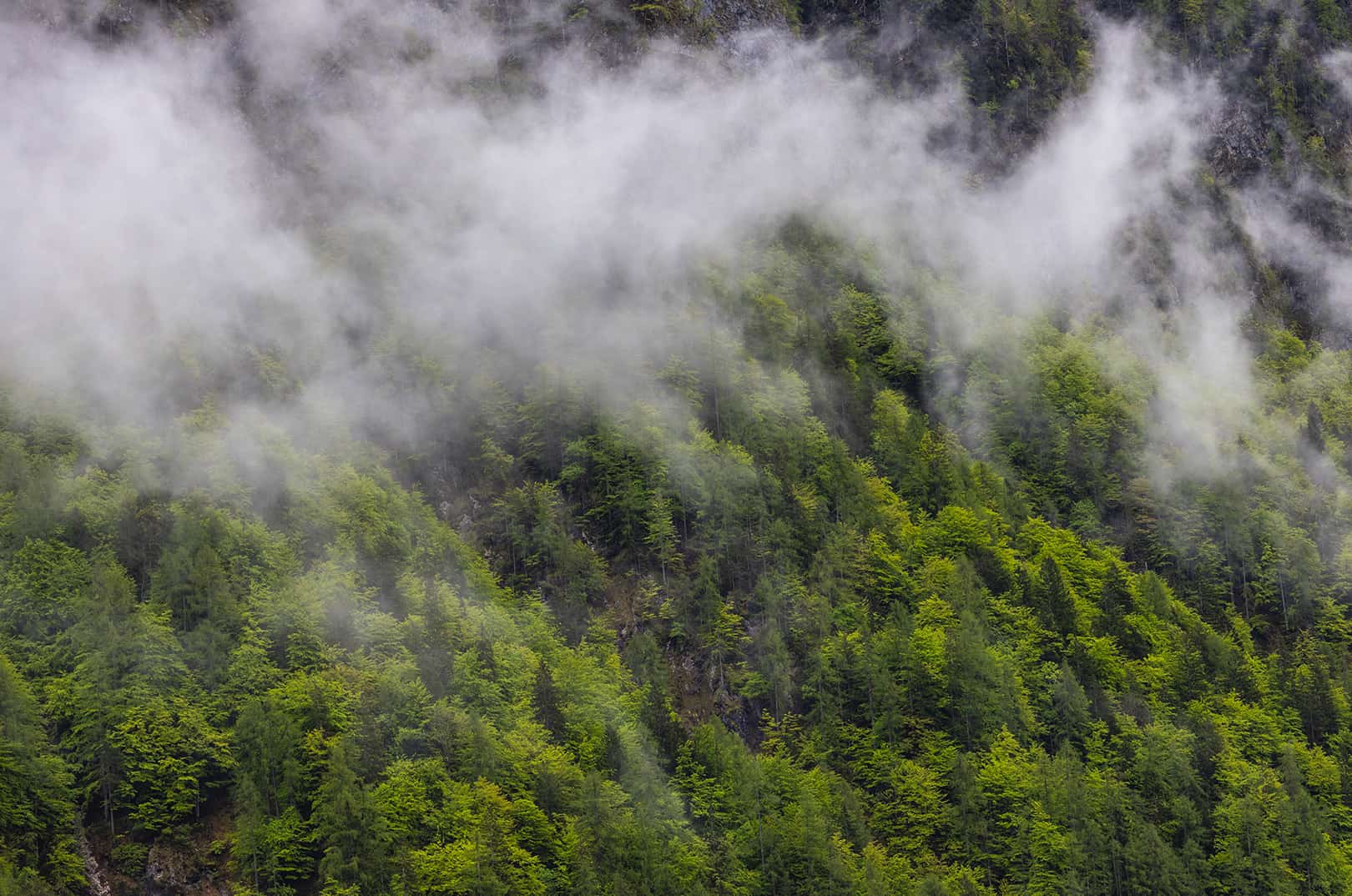 waldgeschichten-artikel-ausflugstipps-in-kaernten-foto-panorama-woerthersee