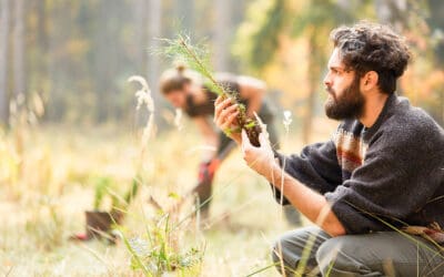 wald-arbeitsplatz-und-einkommensquelle-in-oesterreich-waldgeschichten