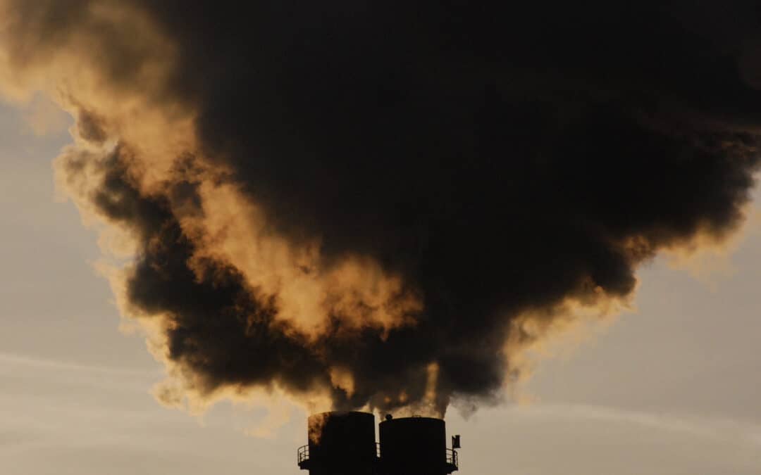 Kein Kernkraftwerk und kein Kohlekraftwerk in Österreich dank Nutzung von Bioenergie aus Holz