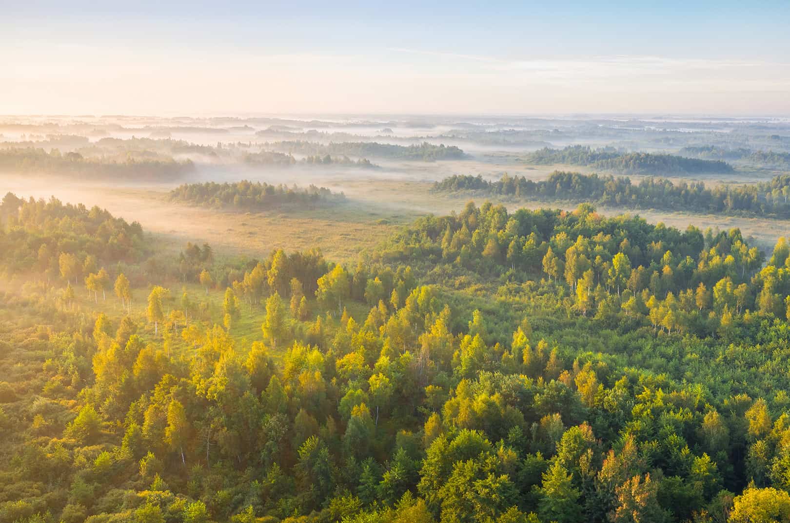 waldgeschichten-artikel-ausflugstipps-in-kaernten-foto-panorama-woerthersee