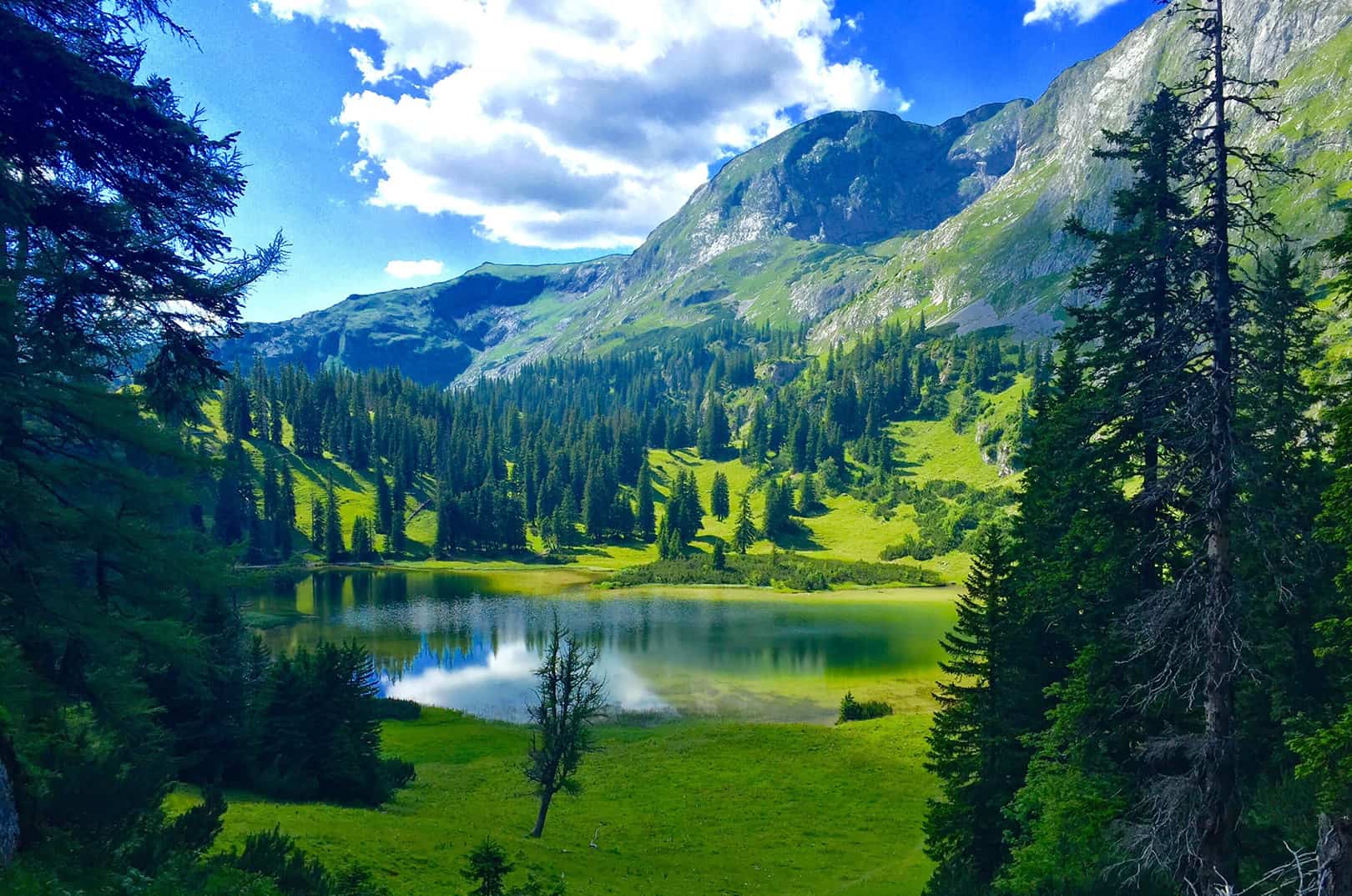 waldgeschichten-artikel-ausflugstipps-in-kaernten-foto-panorama-woerthersee