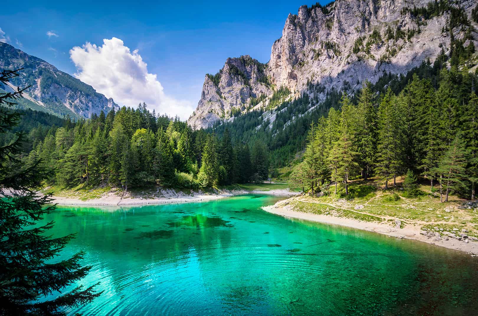 waldgeschichten-artikel-ausflugstipps-in-kaernten-foto-panorama-woerthersee