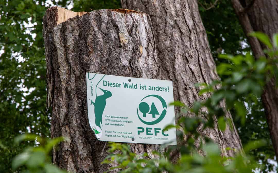 Wald und Zertifizierung