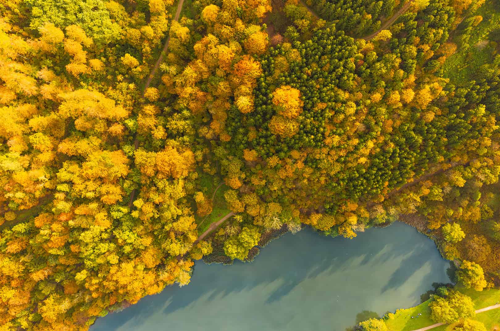 waldgeschichten-artikel-ausflugstipps-in-kaernten-foto-panorama-woerthersee