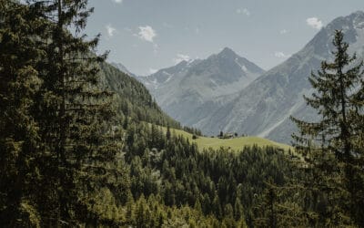 waldgeschichten-oesterreichs-wald