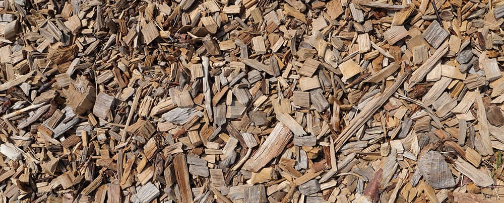 Biomasse als Energieträger