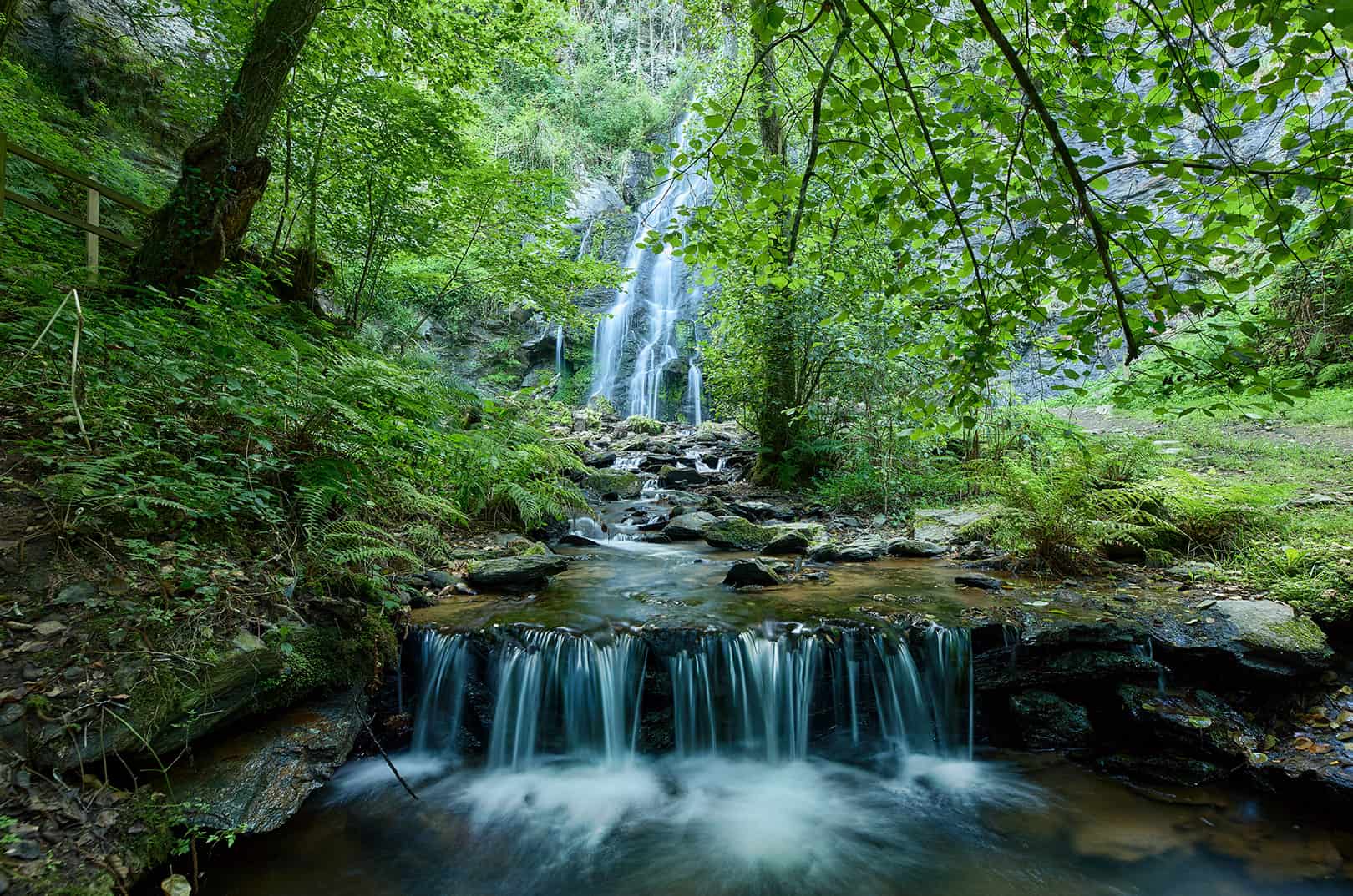 waldgeschichten-naturnaher-waldbau-bach-im-wald