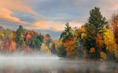 waldgeschichten-der-wald-im-herbst-bunte-baeume-wasser-nebel