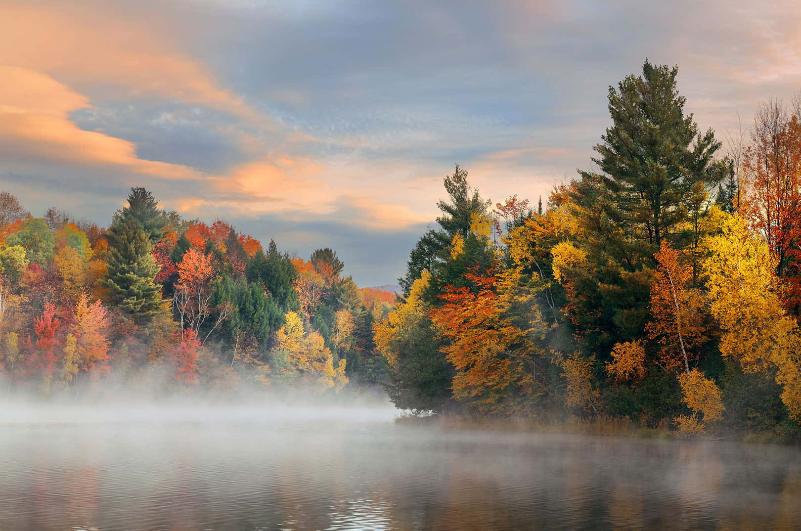 waldgeschichten-der-wald-im-herbst-bunte-baeume-wasser-nebel