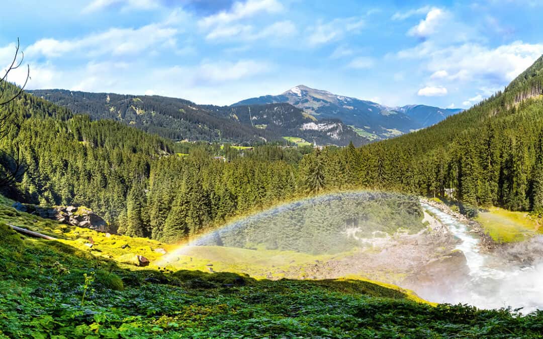 Fakten & Zahlen zum Wald in Salzburg