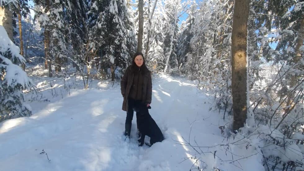 waldgeschichten-wald-app-wald-video-wildtiere-im-wald-im-winter