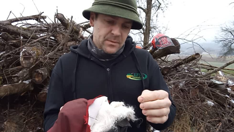 waldgeschichten-app-wald-video-schnittschutzhose-erklaert