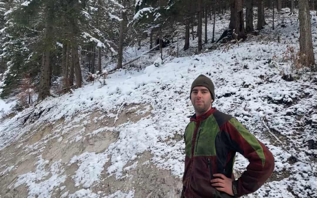 Kleinflächige Eingriffe in den Wald nur mit ausreichend Forststraßen möglich