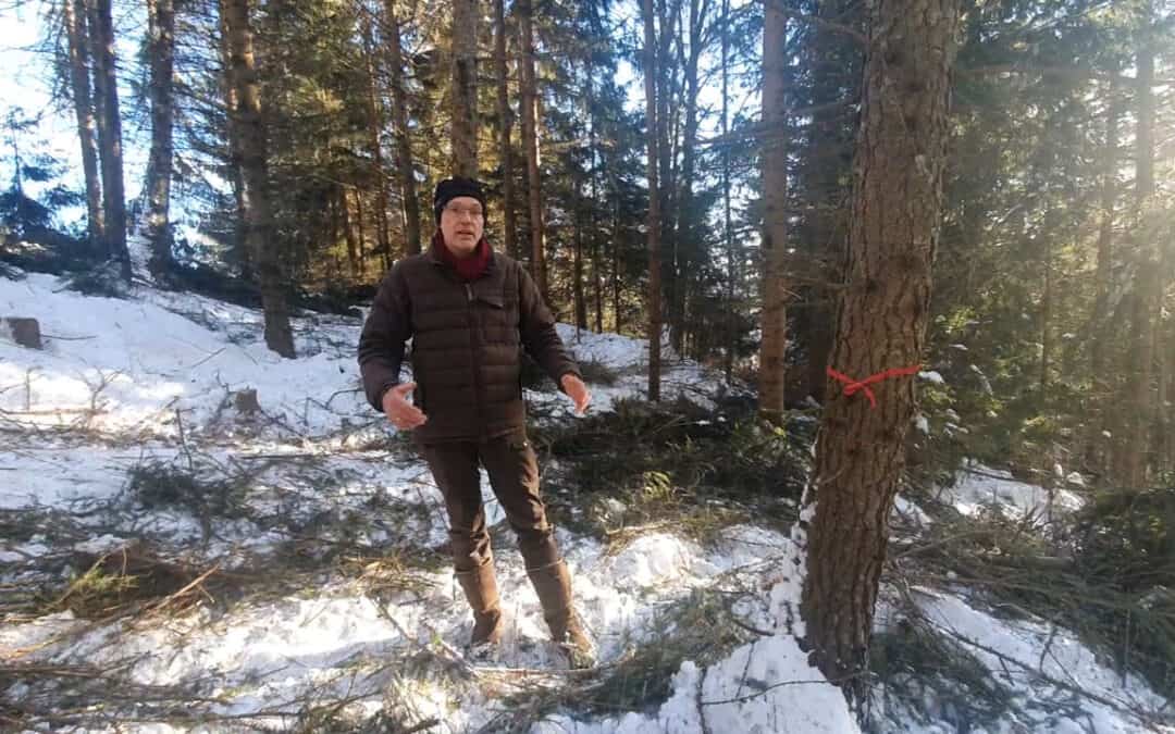 Werner hat seine Zukunftsbäume markiert