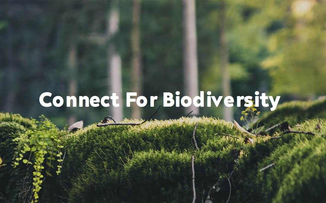 FÖRDERUNG! Vernetzung von Lebensräumen trittsteinbiotope.at für mehr Biodiversität