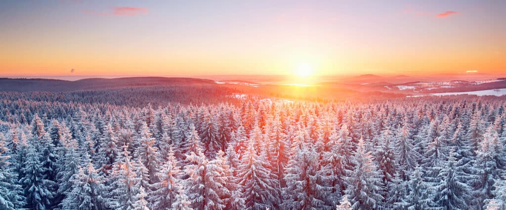 waldgeschichten-weihnachtsbaum-winter-wald-panorama-sonnenaufgang