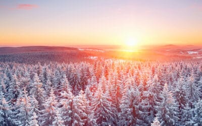 Frohe Weihnachten